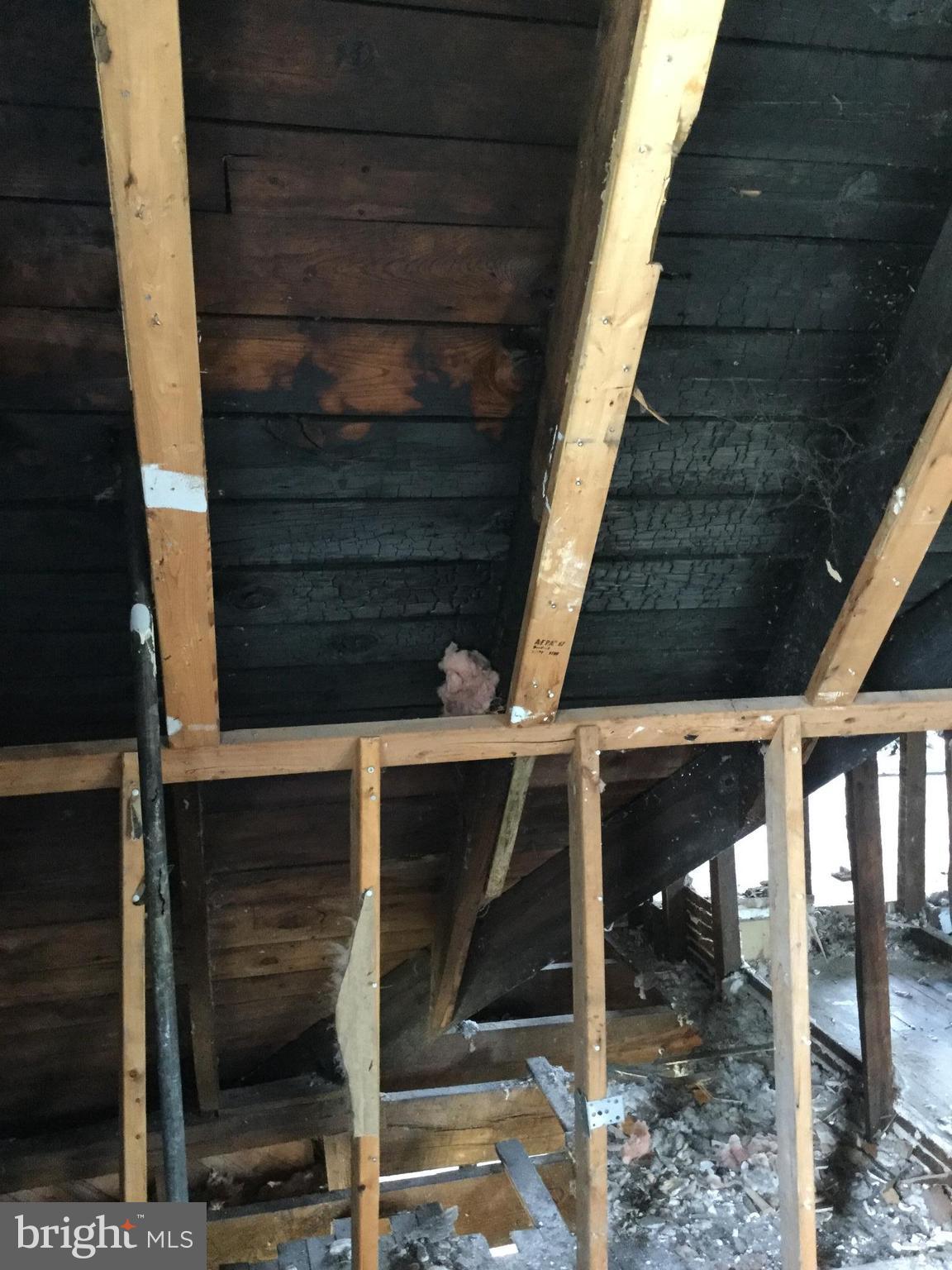 FOREST PARK - Residential