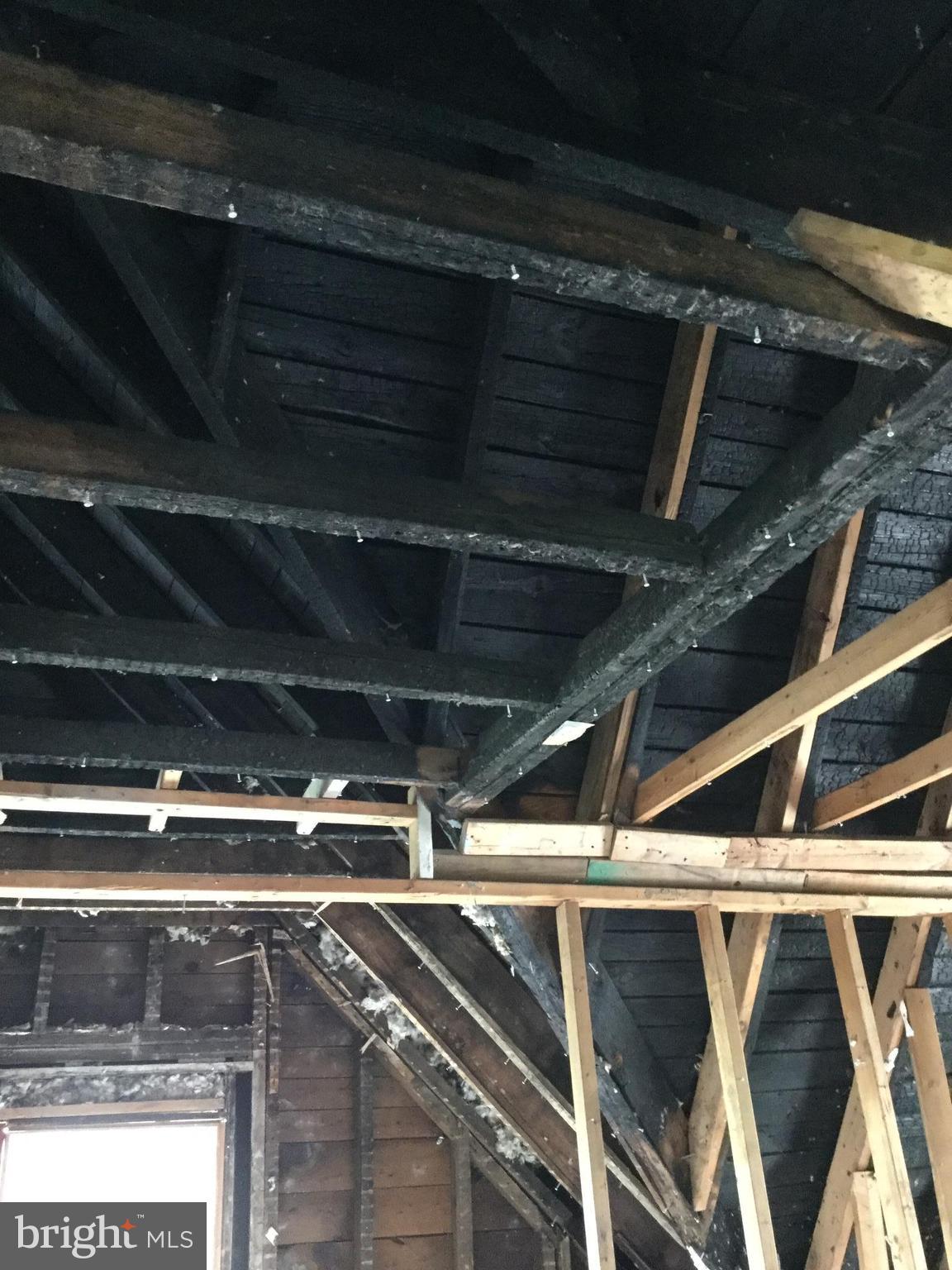 FOREST PARK - Residential