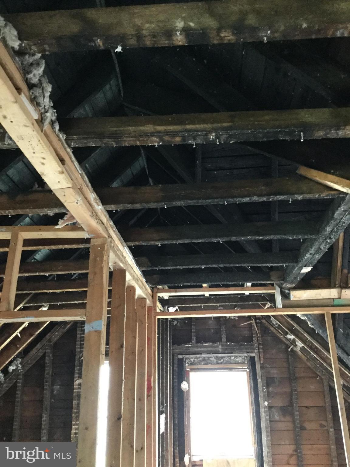 FOREST PARK - Residential