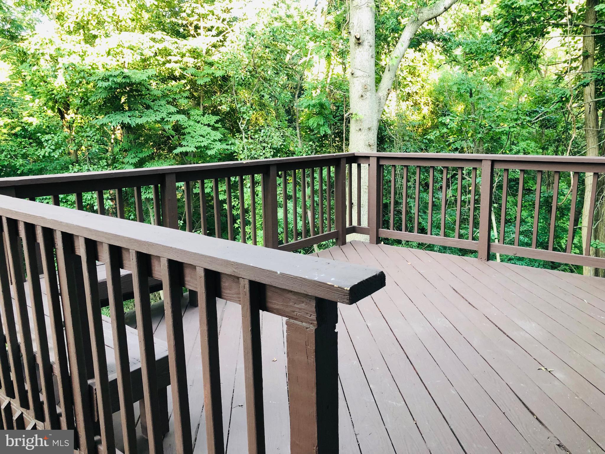 KINGS CONTRIVANCE - Residential Lease