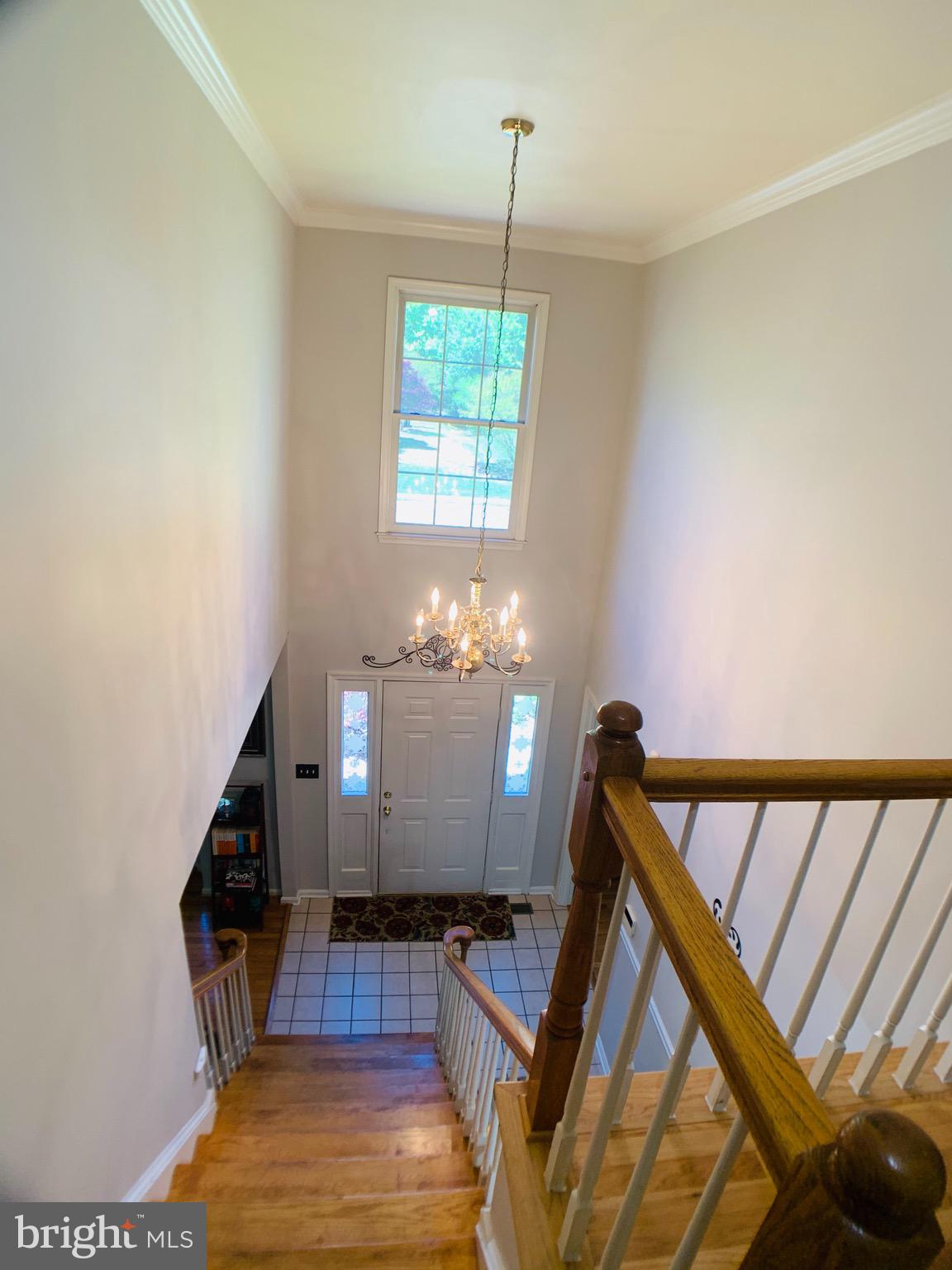 8604 OAK CHASE CIRCLE