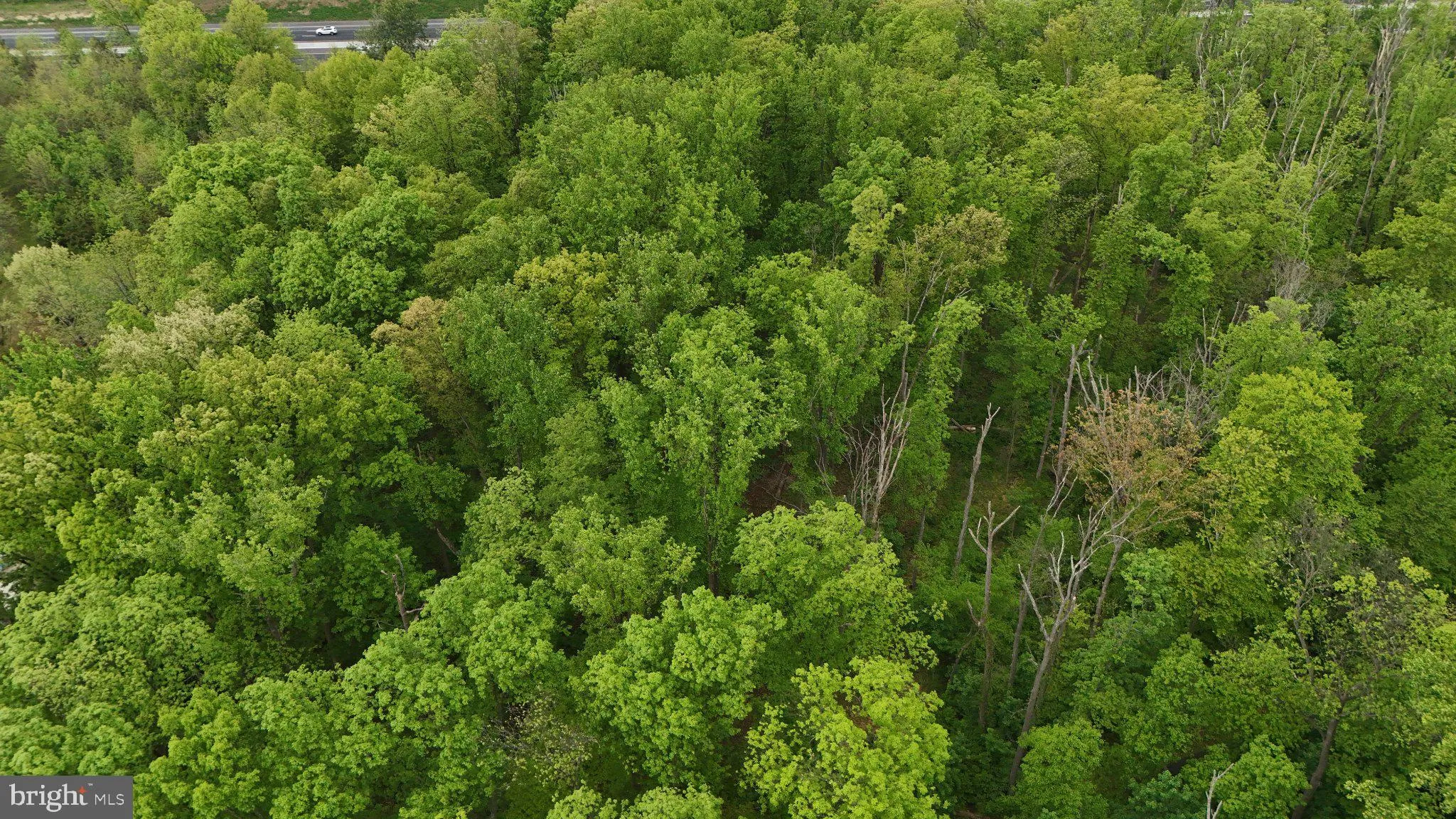 Additional image 12 of Wambold Road, Green Lane, PA 18054