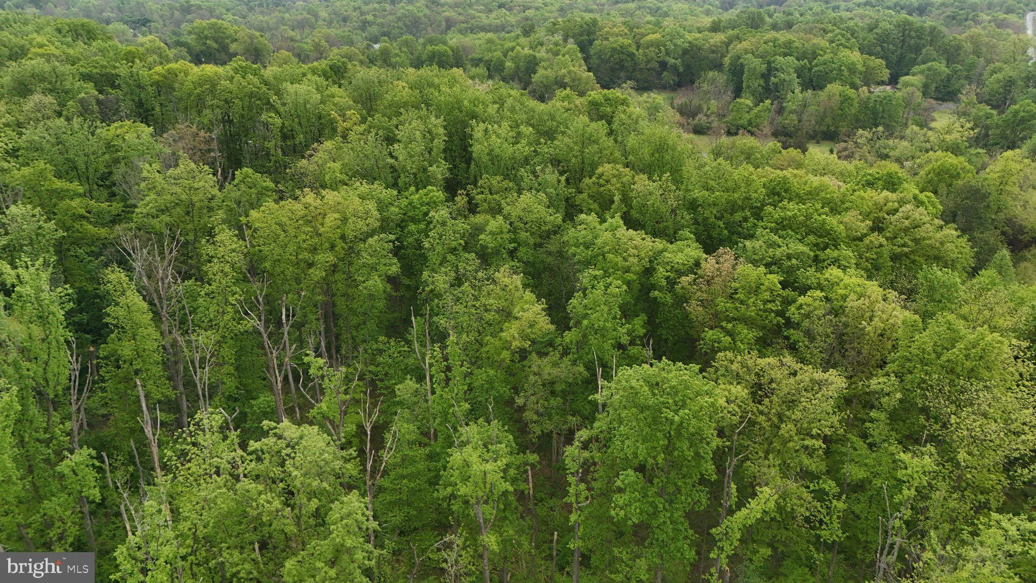 Additional image 10 of Wambold Road, Green Lane, PA 18054
