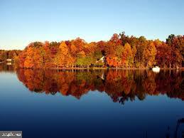 HAMPTON MEADOWS - Residential Lease