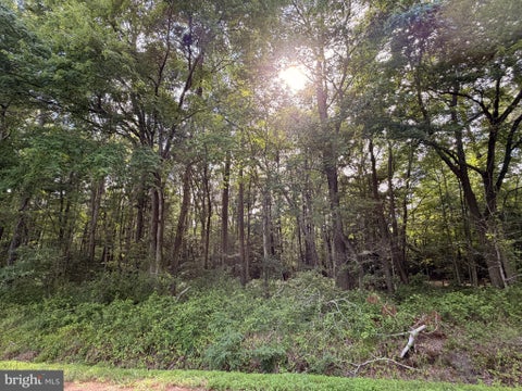 Vacant Land For Sale - Bivens Road<br/> Somerset County, MARION STATION, MD 21838