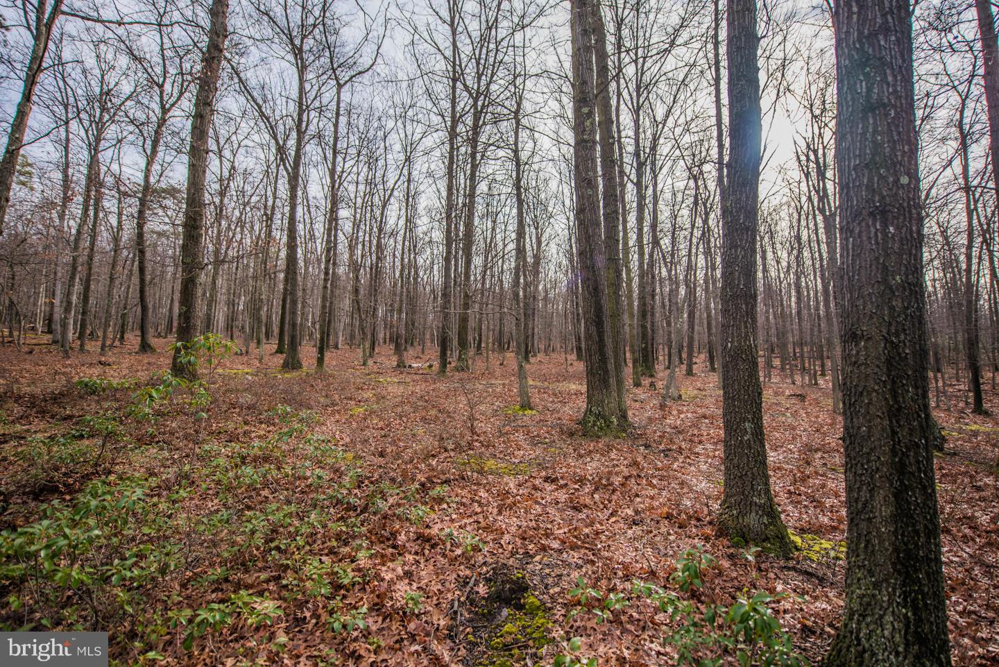 CACAPON HIGHLANDS - Residential