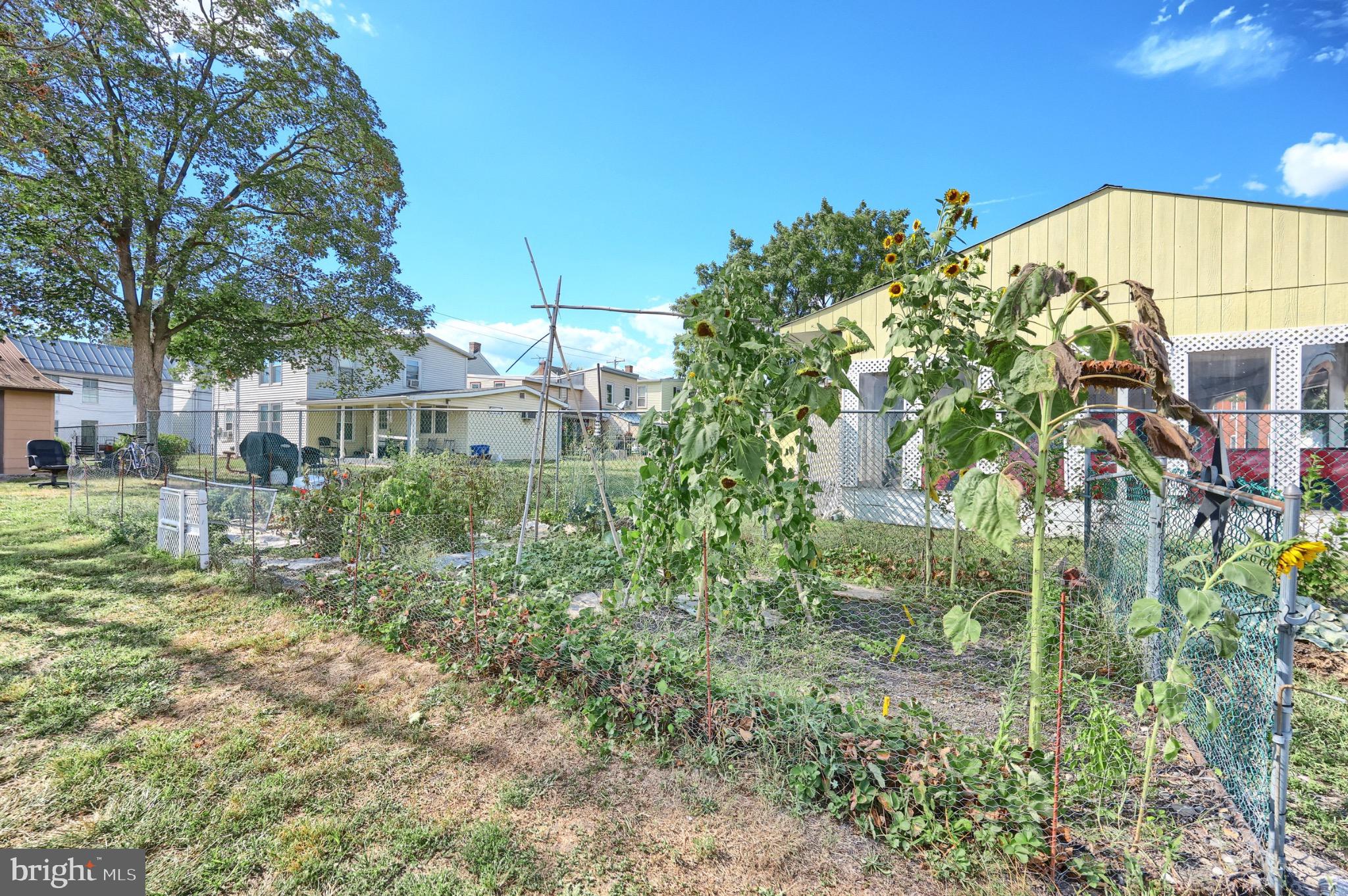 HOSPITAL - Residential