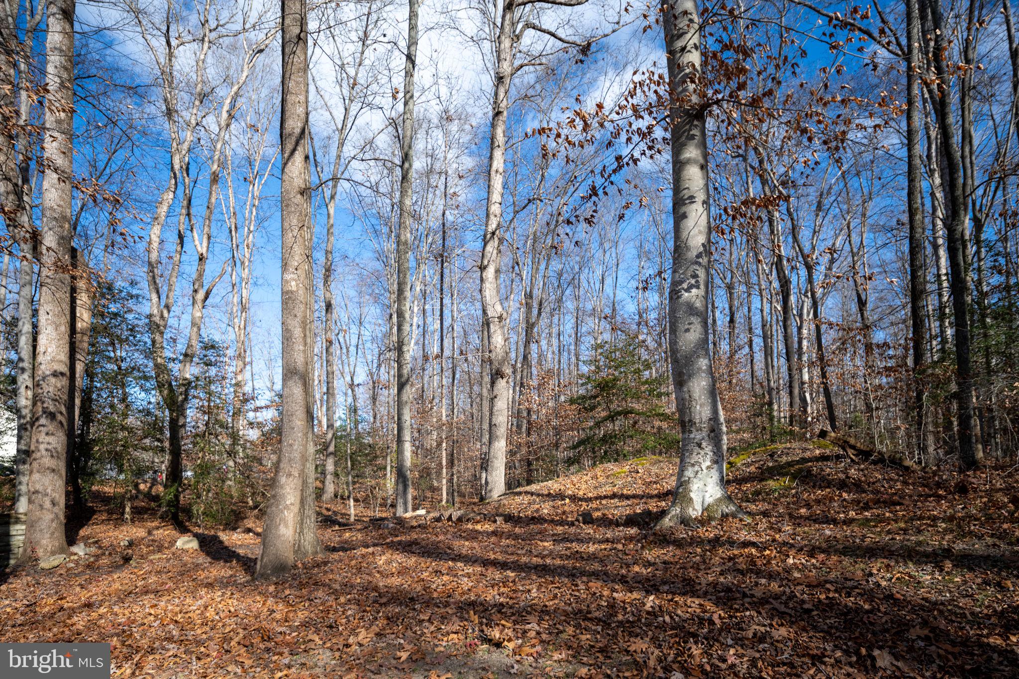 CAROLINE PINES - Residential