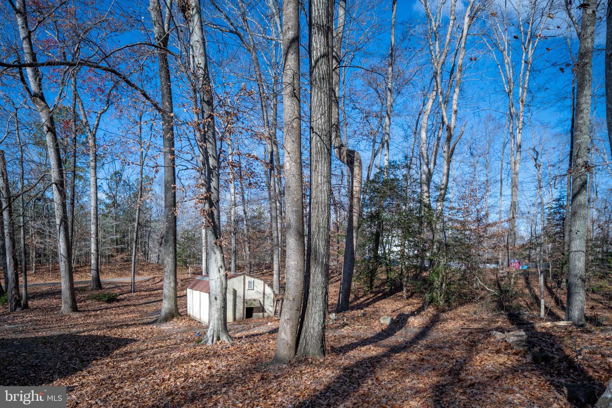 CAROLINE PINES - Residential