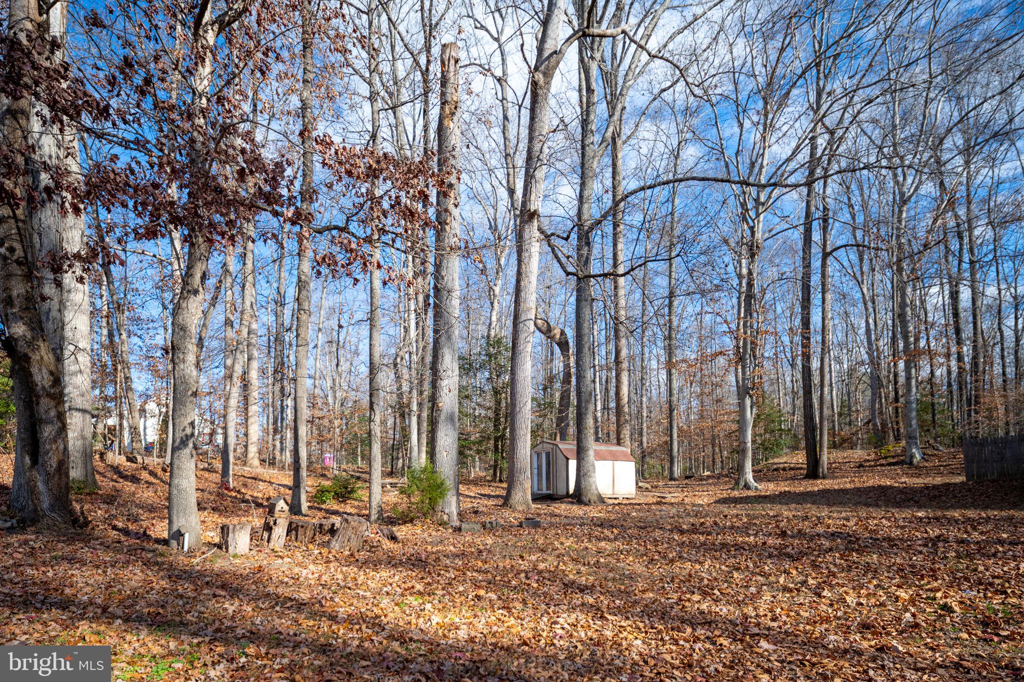 CAROLINE PINES - Residential