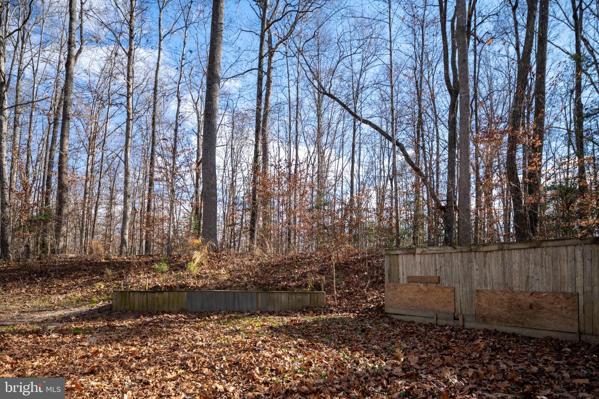 CAROLINE PINES - Residential