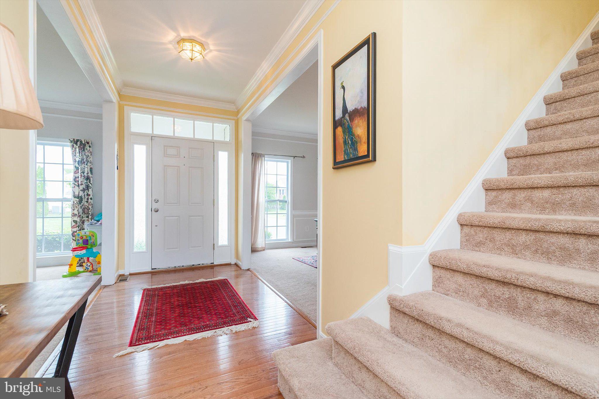 GALLERY - Residential