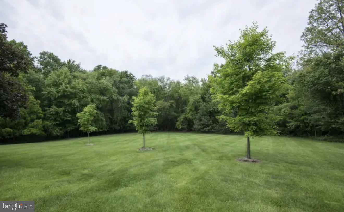 TYSONS COURT - Residential Lease