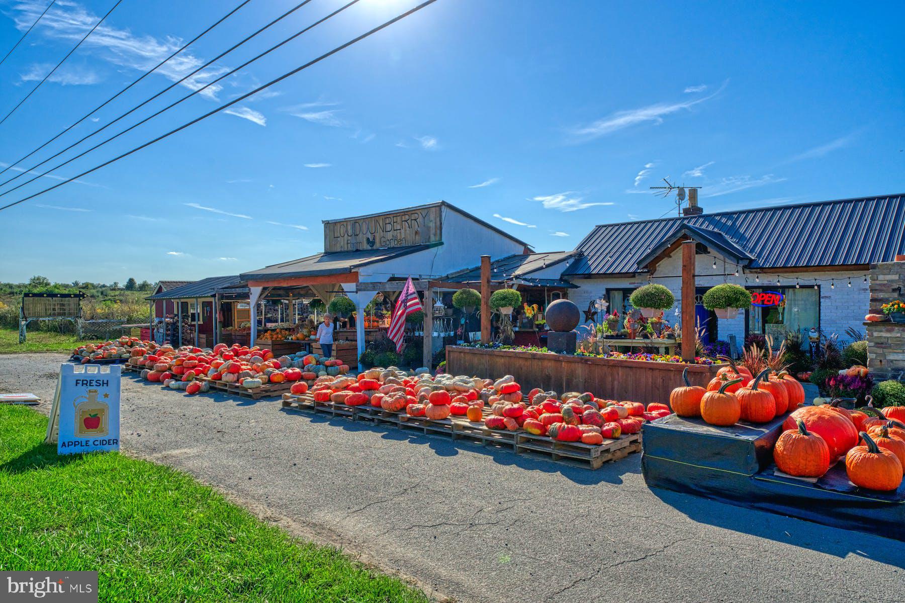 LEE'S CROSSING - Residential
