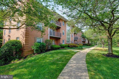 Photo for 3336 SPRING LANE A-34