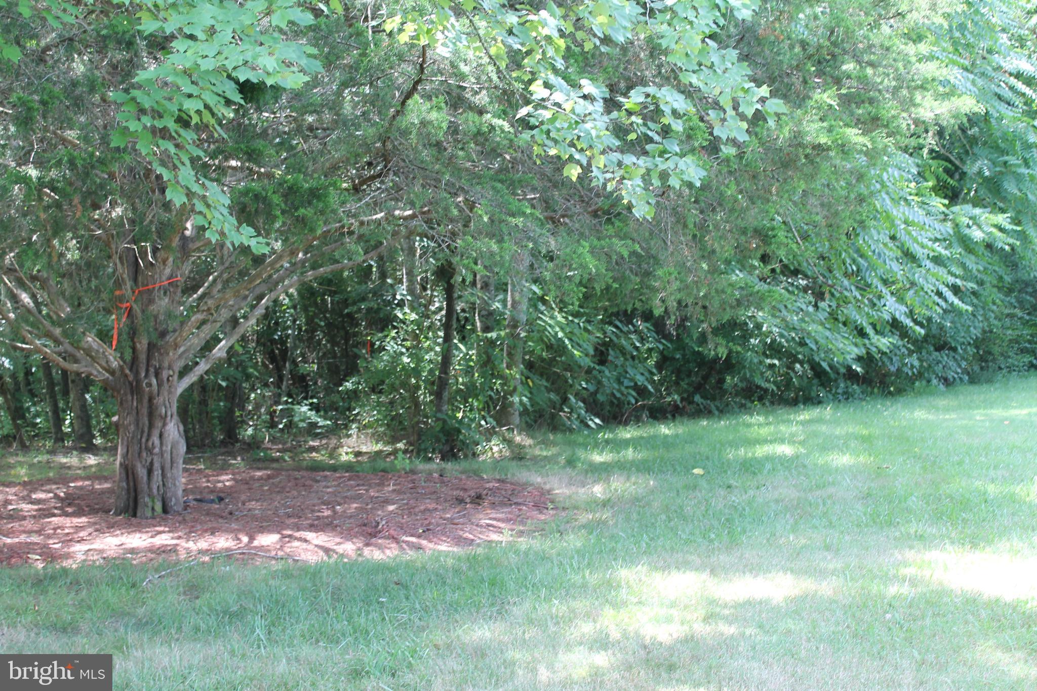 MARYE ROAD