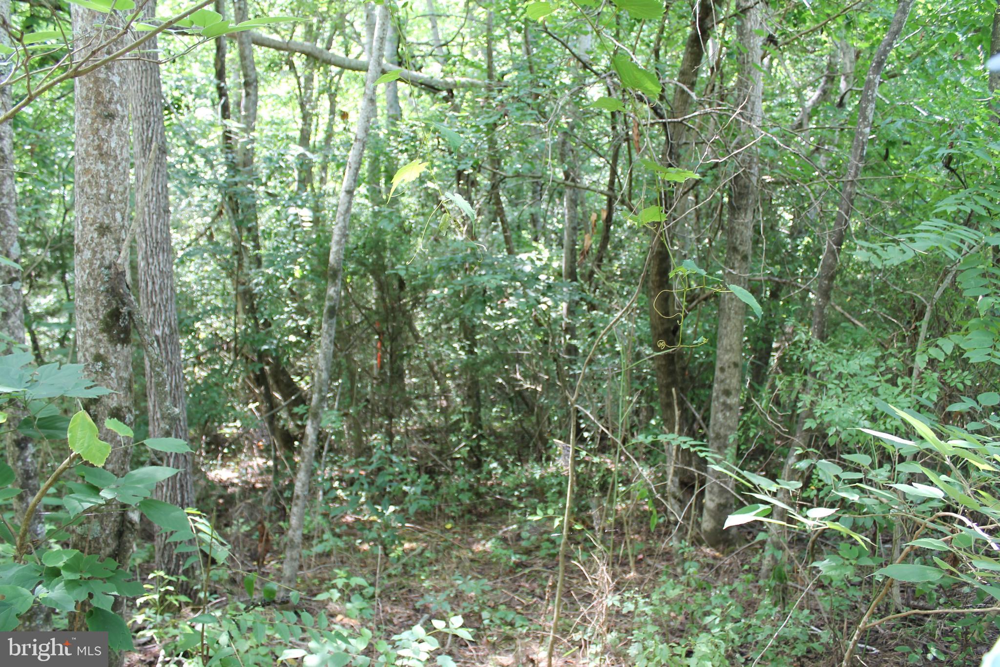 MARYE ROAD