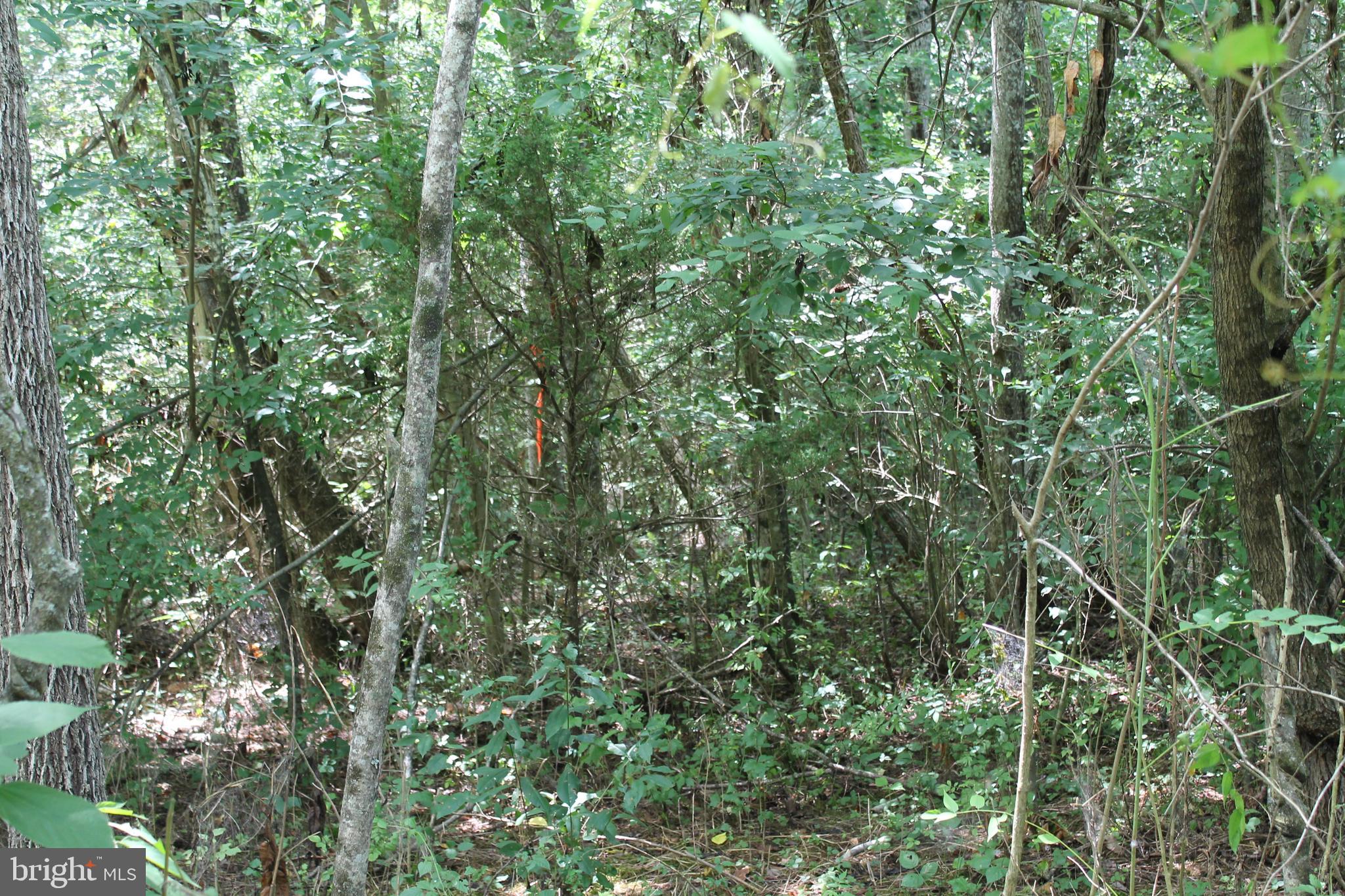 MARYE ROAD