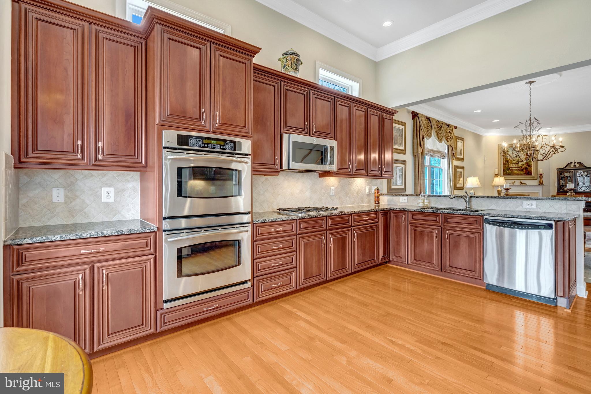 REGENCY AT DOMINION VALLEY - Residential