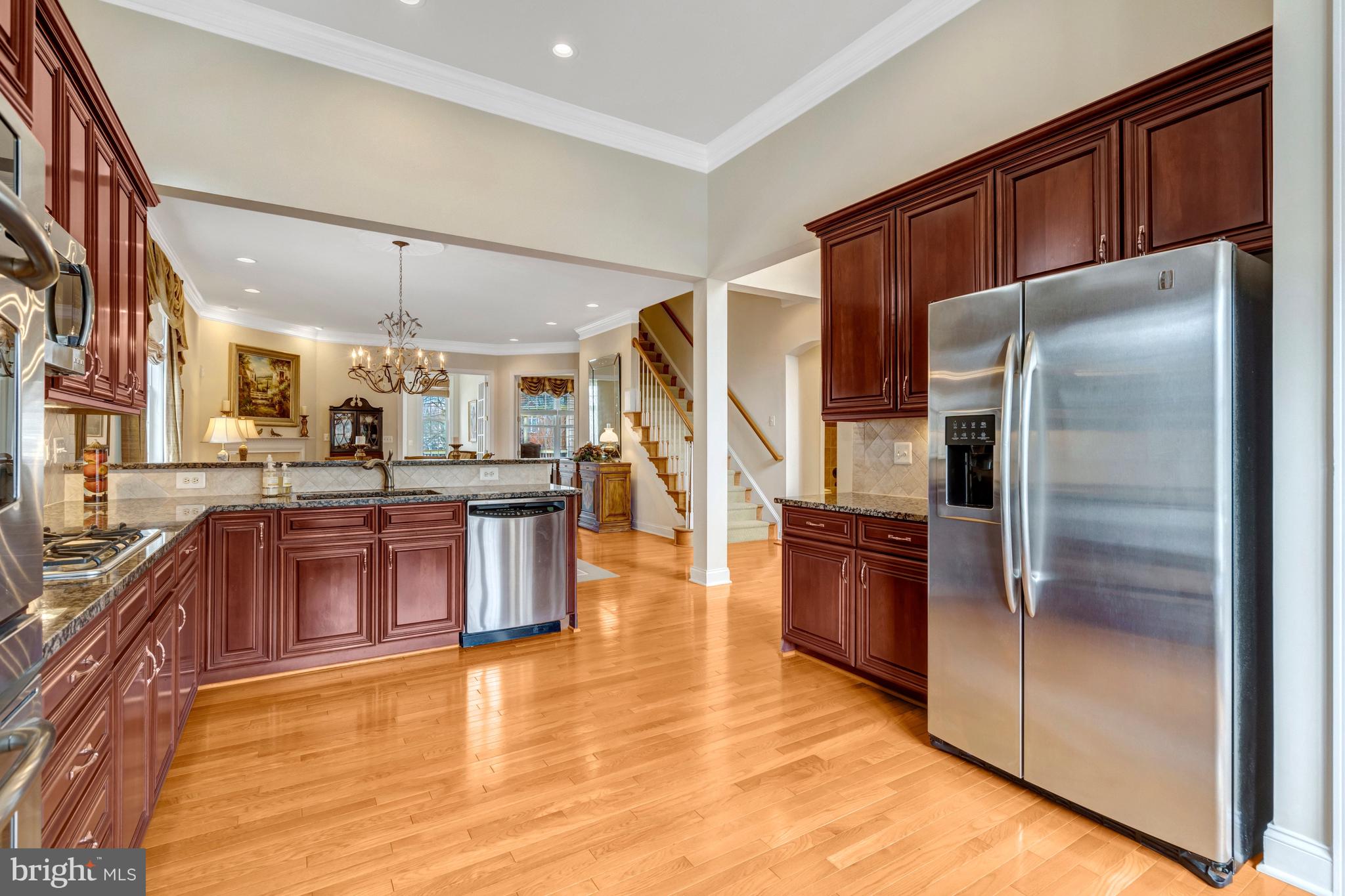 REGENCY AT DOMINION VALLEY - Residential