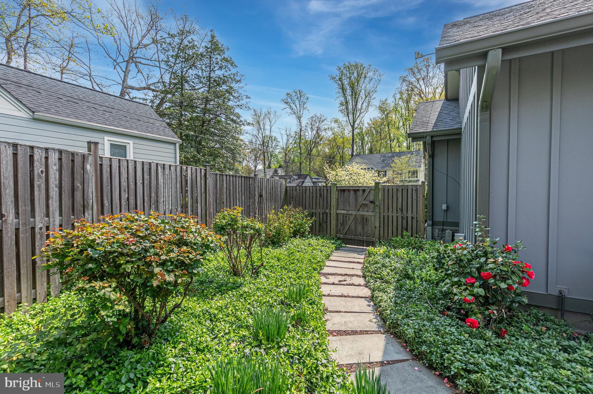 VIRGINIA FOREST - Residential
