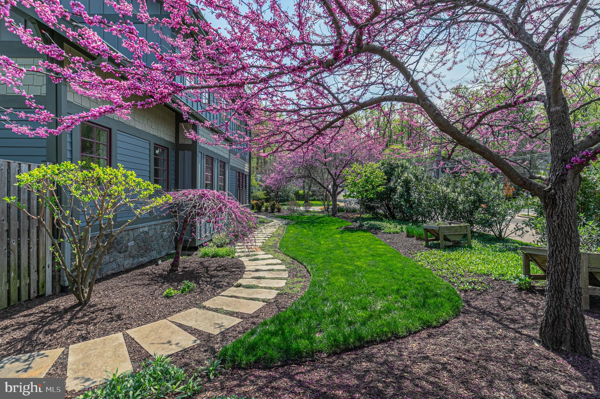 VIRGINIA FOREST - Residential