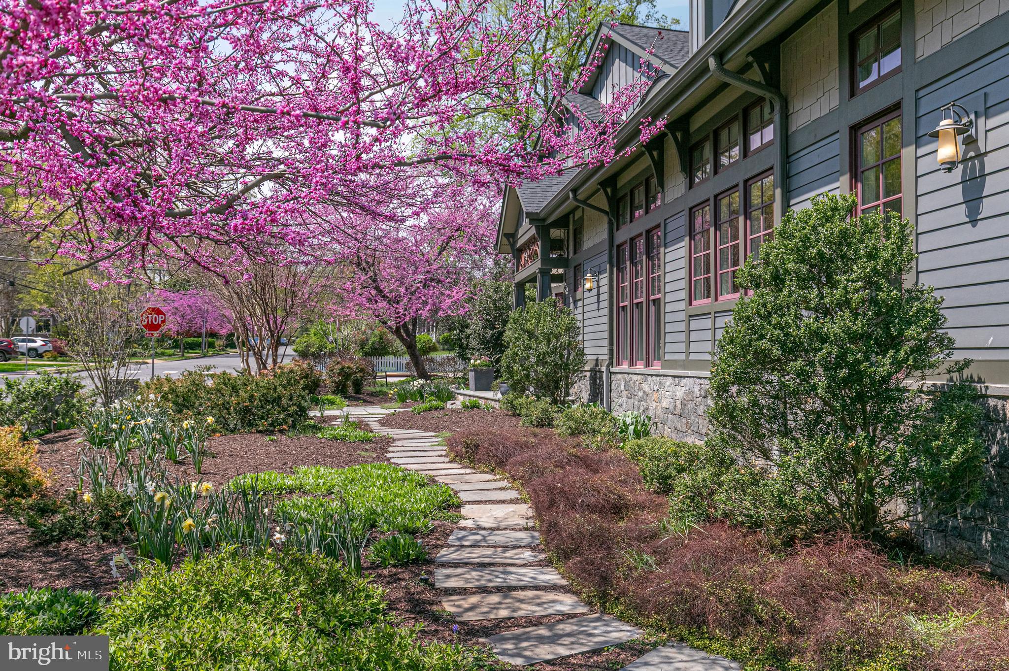 VIRGINIA FOREST - Residential