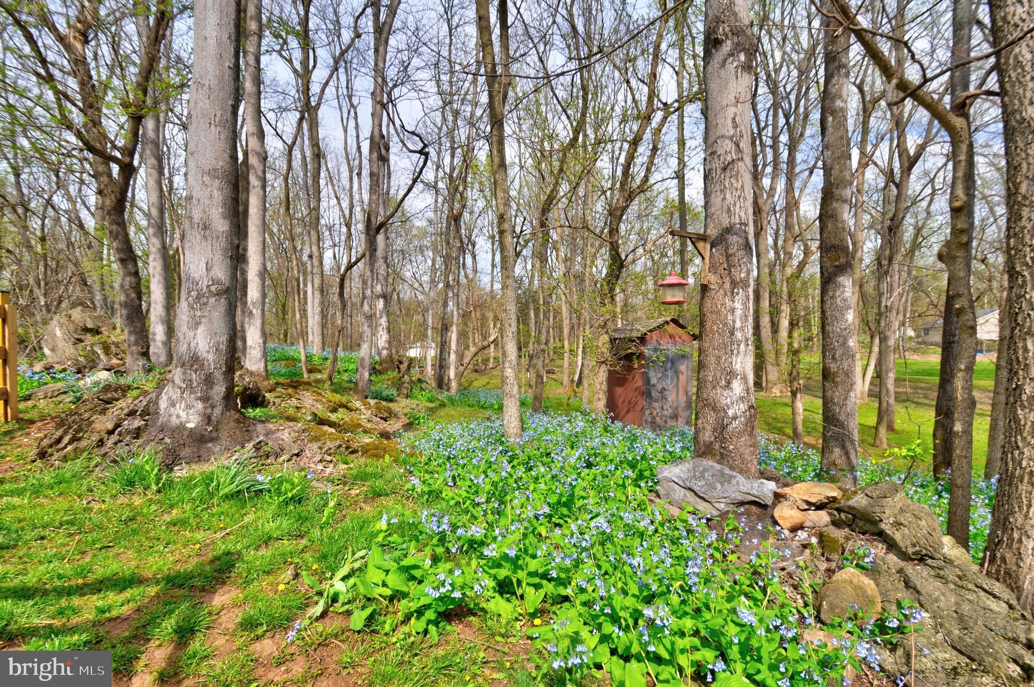 JOHN BROWN FARM - Residential