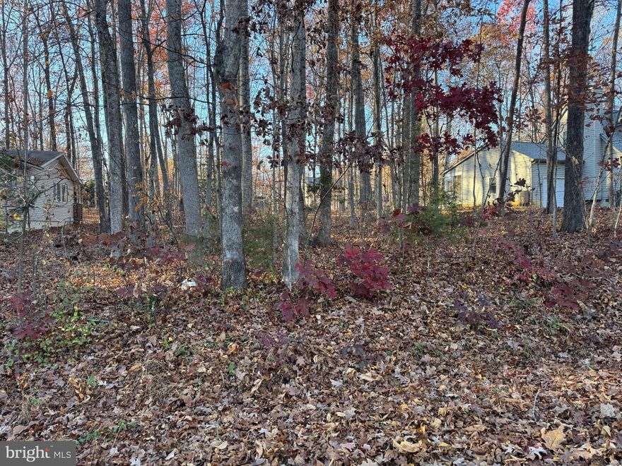 Build your dream home at 106 Monument Rd in the desirable Lake of the Woods gated community of Locust Grove! This beautiful wooded lot offers the perfect blend of privacy, nature, and convenience. Tucked away on a quiet road, the property provides a peaceful setting while still being just minutes from local dining, shopping, and commuter routes. It's only a 5-minute walk to the beautiful Cornwallis Beach, one of the nicest of 8 community beaches.

Whether you're planning a full-time residence, short-term investment opportunity, or a weekend retreat, this parcel delivers a fantastic opportunity with ample space for your ideal layout. Enjoy the freedom to create your own vision—surrounded by mature trees and the charm of Orange County living.

Don't miss your chance to own a slice of tranquility in a growing and well-loved area. Bring your plans and make 106 Monument Rd the start of something special!
