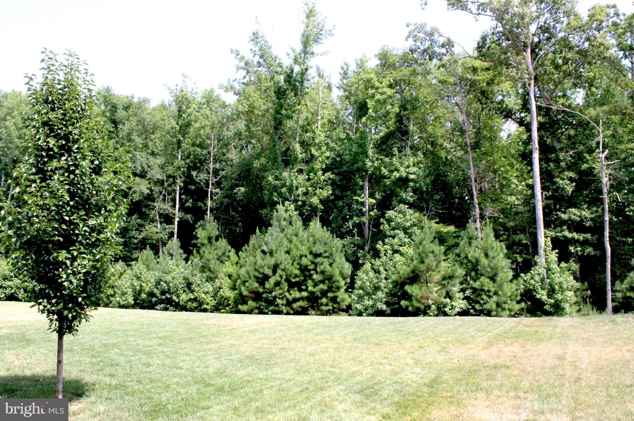 WOODLAND PARK - Residential Lease