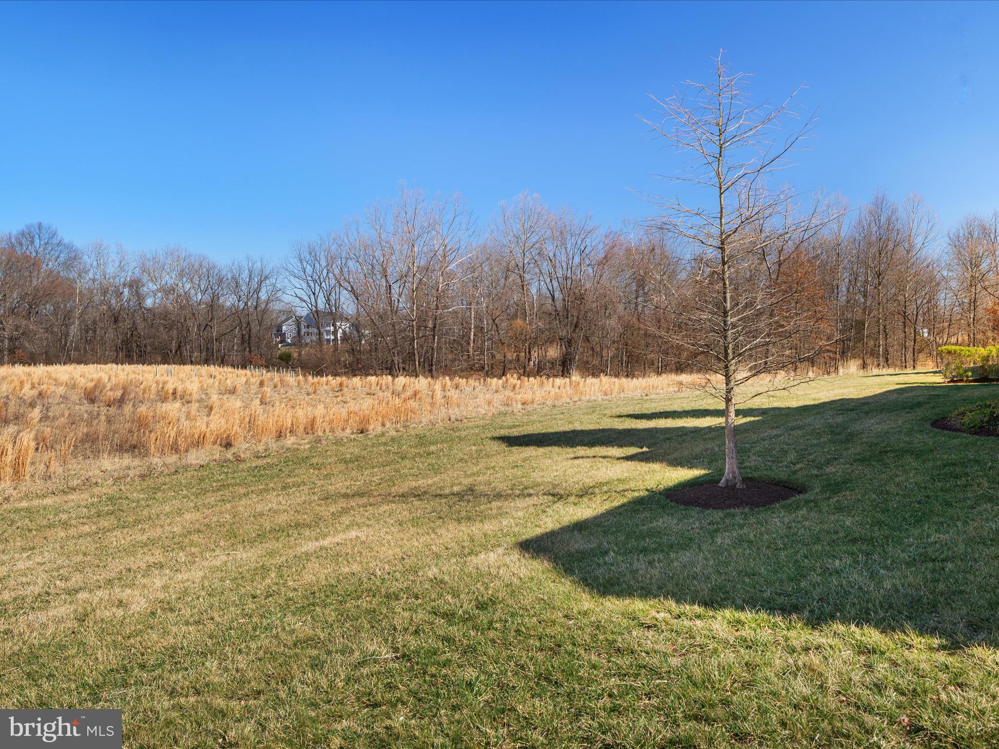 GRANT AT WILLOWSFORD - Residential