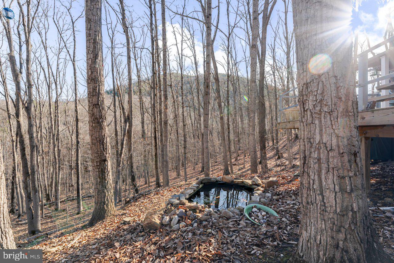 SHENANDOAH GAP - Residential