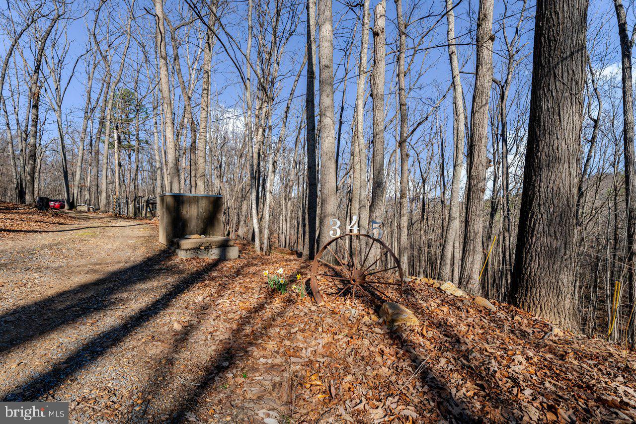 SHENANDOAH GAP - Residential