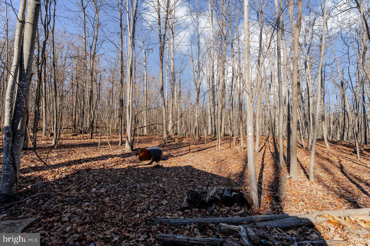 SHENANDOAH GAP - Residential