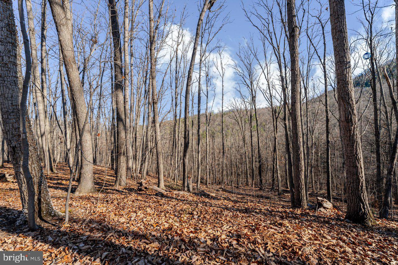 SHENANDOAH GAP - Residential