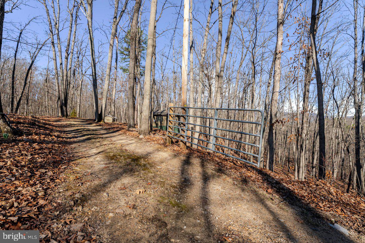 SHENANDOAH GAP - Residential