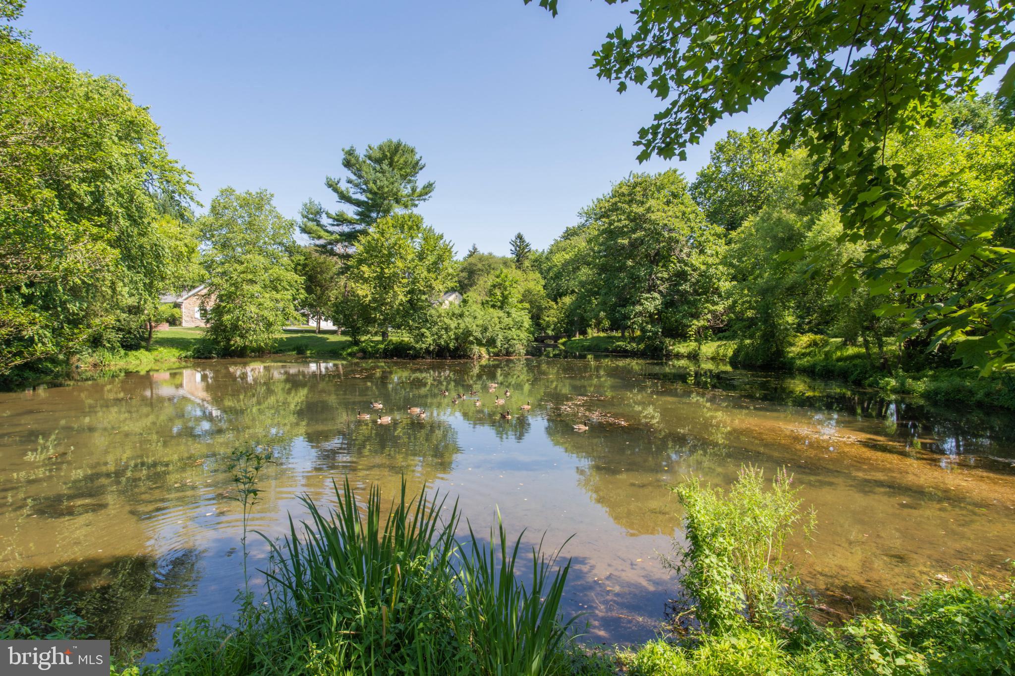 OLD FORGE CROSSING - Residential