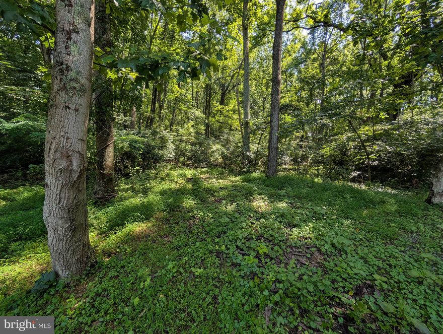 Two lots adjacent to each other, sold together in the subdivision of Point O Woods.  Located on a dead end street.  Lot 83 is 0.80 Acres and Lot 84 is 0.65 Acres.   Sign is believed to be placed close to the point where the lots join.  Lots are partially cleared and have more level space than additional listings in the neighborhood.  Use caution when visiting.   Subject to the covenants of Point O Woods subdivision.  Each lot is assessed $300/annually for POA fees.  Fee to build in Point O Woods is $5,000 prior to beginning construction.**There are additional lots for sale in the neighborhood in groups of two as well. Oriole Court, Lots Lots 85-86 which are adjacent to these lots and at the entry to the court and Lots 1 & 2 on Blackbird Way. Please see those listings as well.**