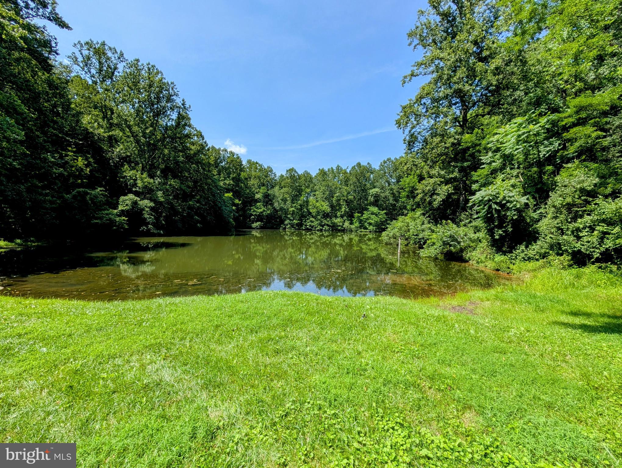 POINT O'WOODS - Land