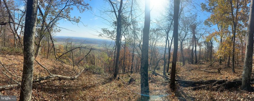 ***PENDING ONLY THE 159+/-  Acre Parcel. The 19.9+/- acre parcel will be available in a separate listing. Check back here for the MLS #PAAD2016888 (40 Haines Lane, Fairfield, PA 17320). *** 
1) Property
This property comprises two parcels totaling nearly 180 acres. The first is a 160+/- acre tract with gated access off Mt. Hope Road, and the second is a 20+/- acre parcel accessible from Cold Spring Road through a deeded right of way, on the north side. The 20+/- acre parcel features a drilled well and has undergone a perk test previously (check with township to see if still approved or would need new one due to time from test). While the seller is open to selling either parcel individually for the right price, they would prefer to sell them together as one exceptional property. Through trails on the property 

2) Location
Situated in Fairfield, this property is perfectly positioned near the Maryland line and just under 10 miles from historic Gettysburg. Fairfield offers a peaceful, rural lifestyle with easy access to local amenities. Surrounded by rolling hills, state game lands, and apple orchards, the area provides a serene escape with a strong commitment to preserving its natural beauty and rural charm. Whether you're a history enthusiast, an outdoor lover, or someone looking for quiet country living, Fairfield is a fantastic place to call home. Small town feel, friendly neighbors, hard working individuals and close to all your necessities!

3) Hunting
For hunters, this property is nothing short of a dream. The land is home to some of the largest whitetails I have seen in South Central Pennsylvania. This year alone, several 130"+ bucks were seen on the property along with an estimated 160"+ whitetail. These are not just rumors, the listing agent spent time with his film crew hunting the property this year and has these deer on video and trail camera. The trail camera photos provide a glimpse into the thriving deer population, making this an ideal spot for any serious hunter or outdoor enthusiast looking to enjoy the region’s renowned game habitat. Included in the sale are several box blinds set up in ideal hunting locations along oak flats, transition areas and conveniently accessible through the trail system within the property.

4) What Makes This Property Unique?
Perched atop Rupp Hill, the property boasts stunning views that stretch across Fairfield and into Southwestern Gettysburg, offering some of the most breathtaking vistas in Adams County. With its superb privacy, this property is perfect for recreational use, a future family compound, or building your dream home. The land features an extensive trail system connecting Mt. Hope Road and Cold Spring Road and an abundance of wild blackberries and raspberries for summer picking. Its conservation zoning ensures that the natural beauty and open spaces are preserved, offering a sense of peace and seclusion rarely found in today’s market. 

Whether you're seeking a private retreat, prime hunting ground, or a place to create lifelong memories, this property delivers unmatched potential now offered at a very competitive price.  This property is a must see in person as the photos do not do this one justice! Call today for your personal showing.