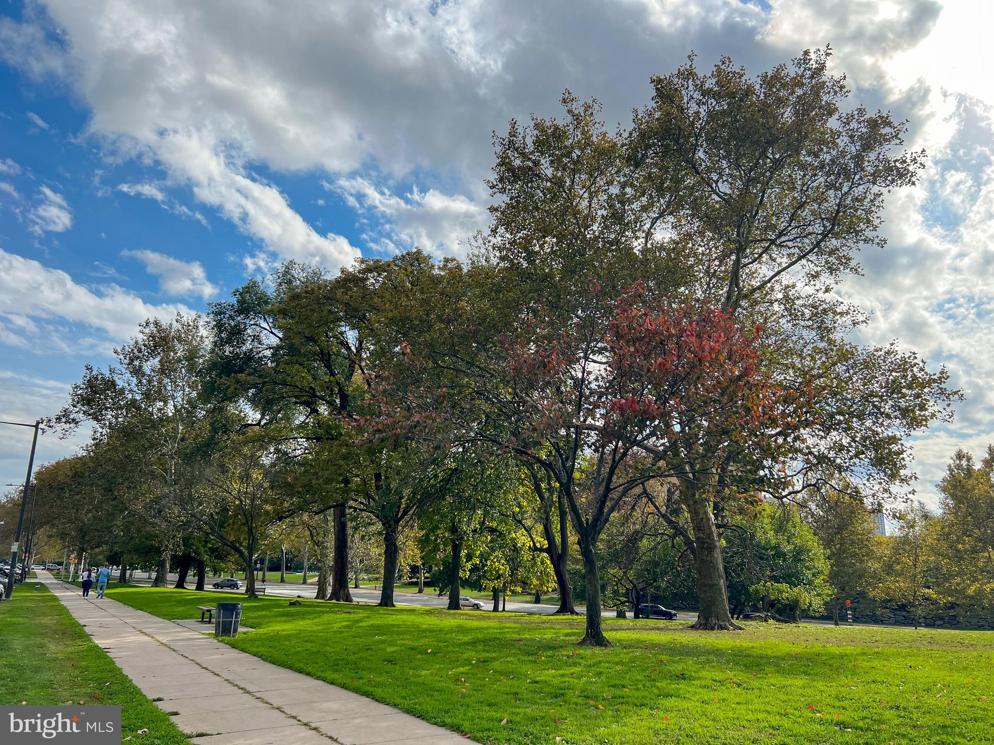 ART MUSEUM AREA - Residential