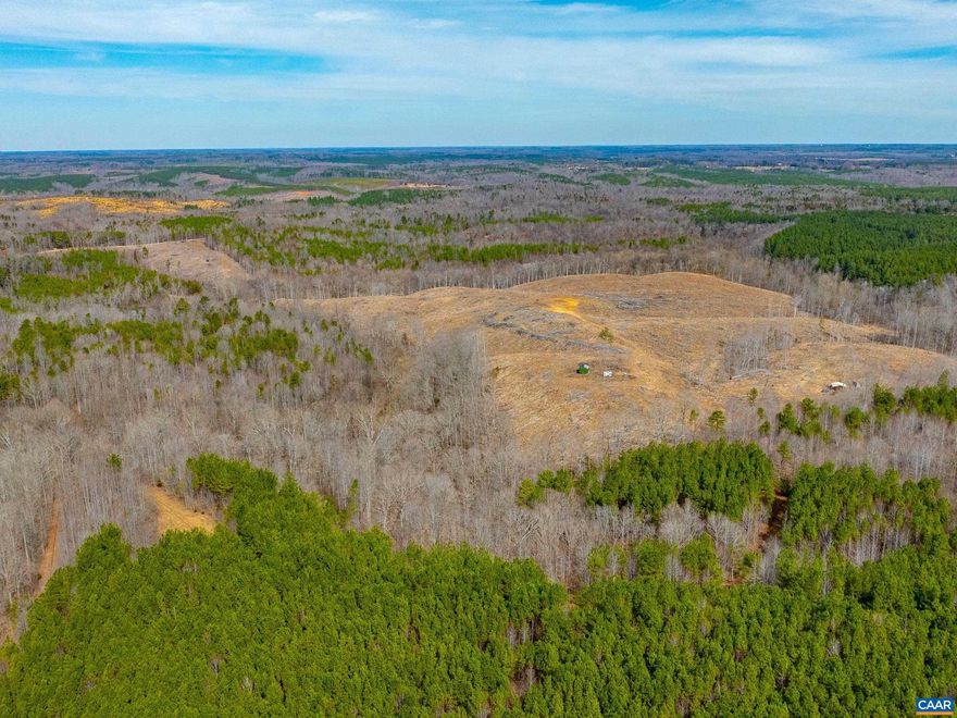 JUST LISTED!! Build Your Dream Home just outside Kenbridge! Escape to the serene countryside and make your dream home a reality on this beautiful 14+ acre property. Plenty of space for your custom-built home, gardens, or hobby farm. Peaceful & Private setting, surrounded by nature.