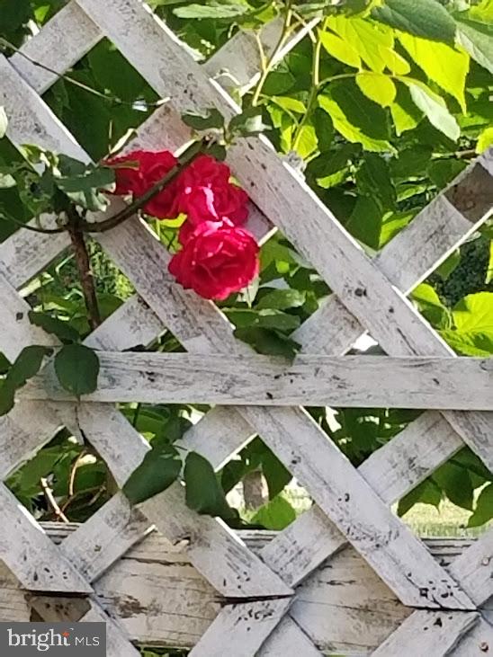 SKIPPACK - Residential