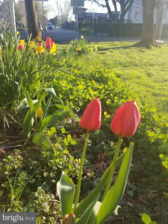 SKIPPACK - Residential