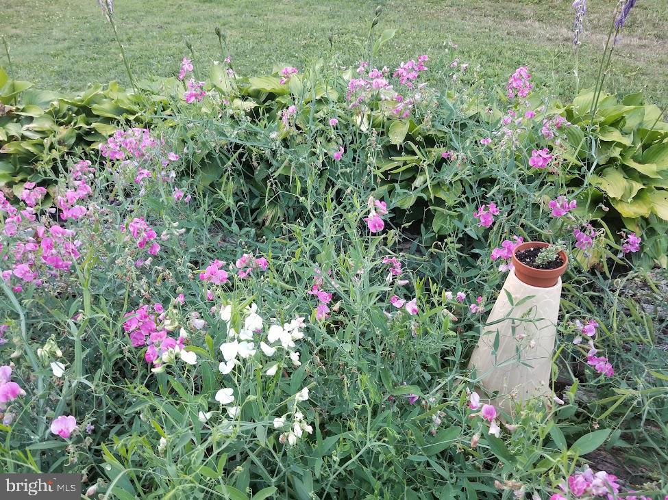 SKIPPACK - Residential