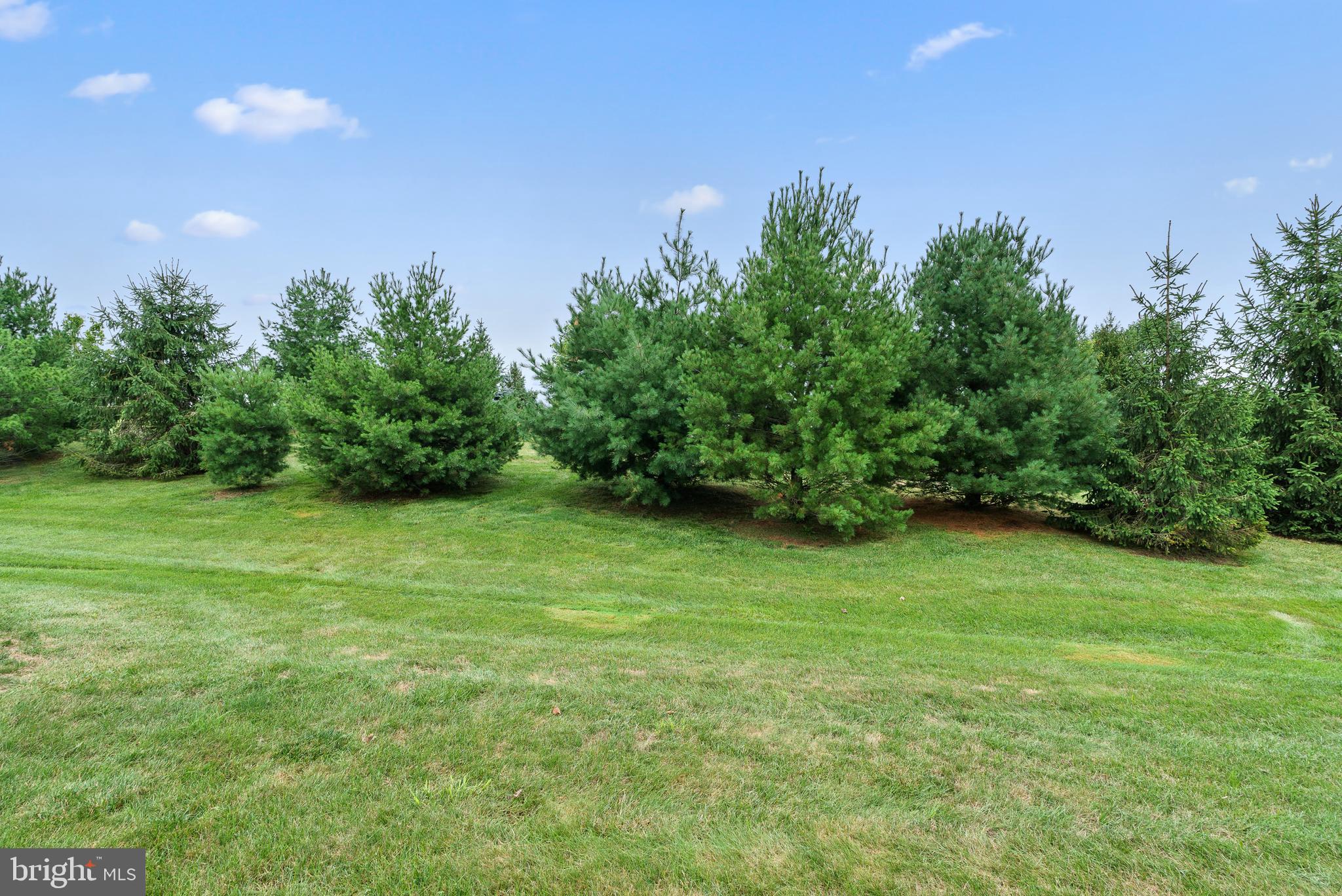 THORNDALE - Residential