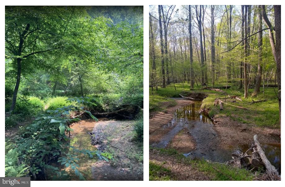 FOLKSTONE - Residential