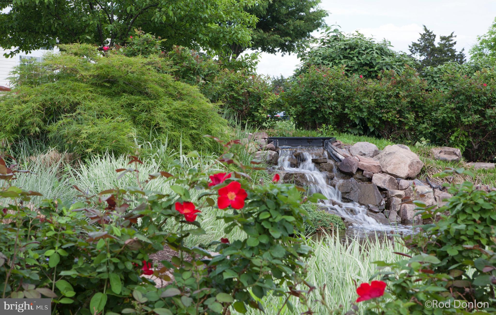 CARROLL VISTA - Residential