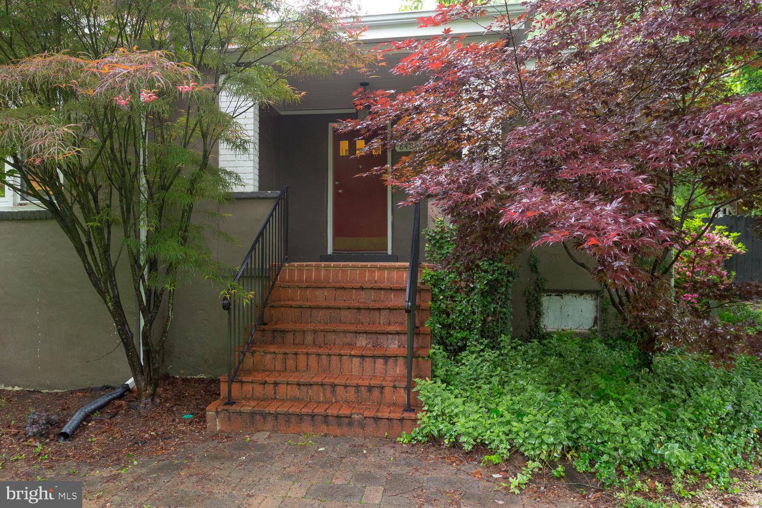 MT ZEPHYR - Residential Lease