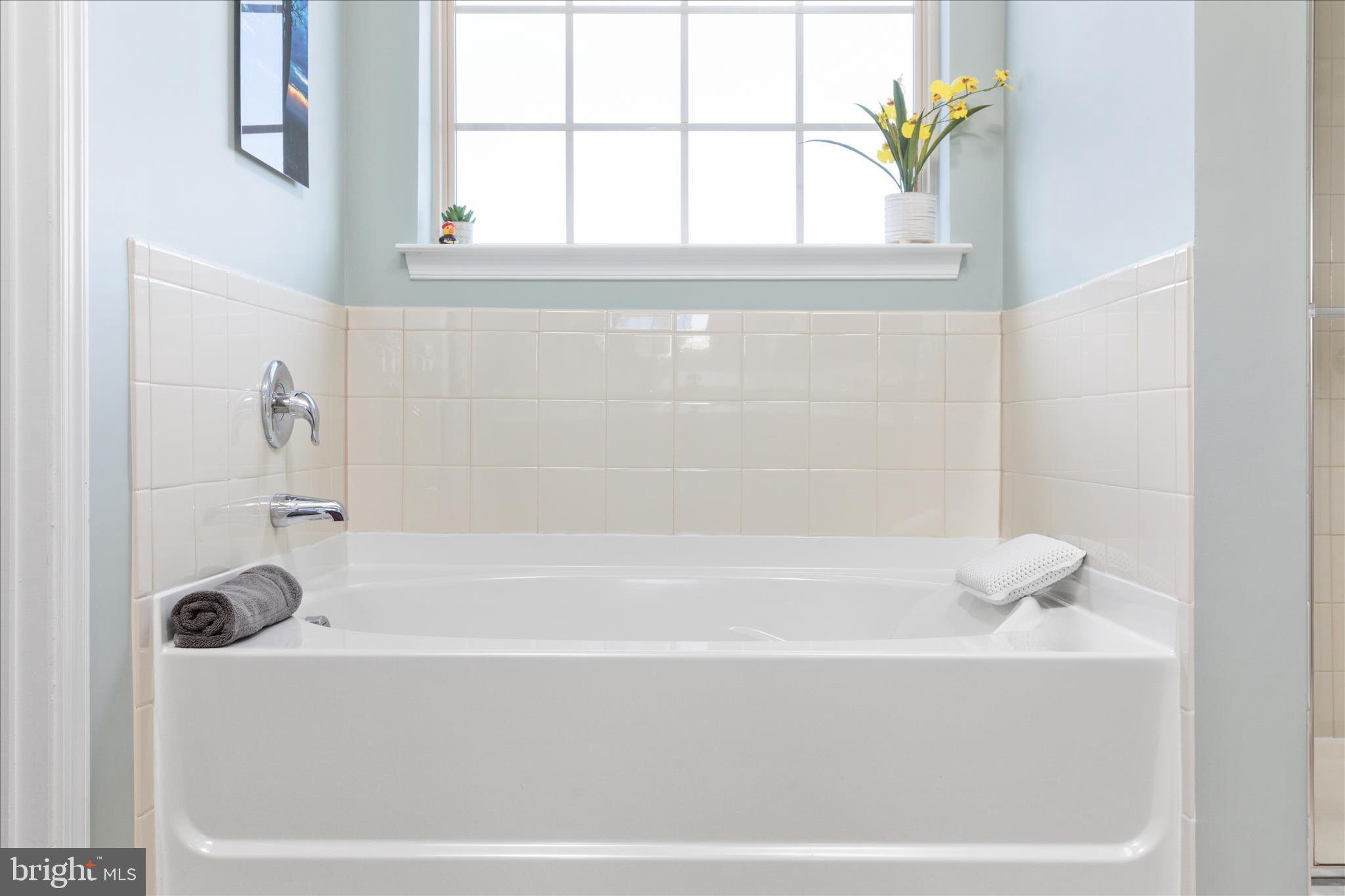 BLUE RIDGE SHADOWS - Residential